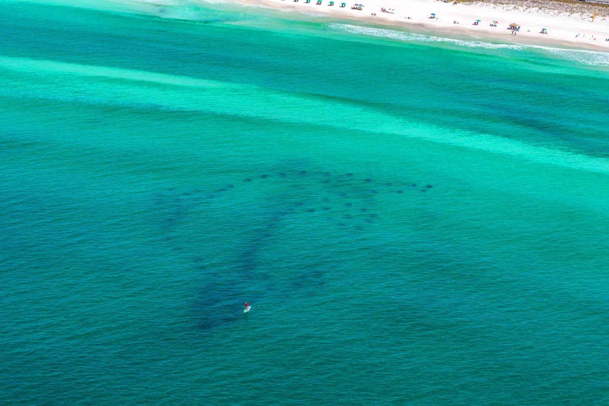 Stay Anchored Destin Dış mekan fotoğraf